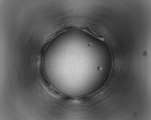 X0000116310412200912141403