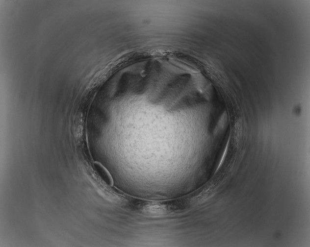 X0000116310413200912141403