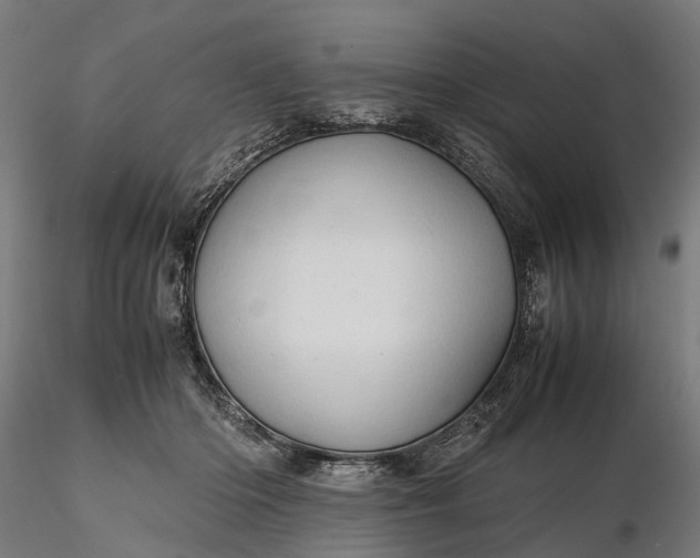 X0000116310414200912141403