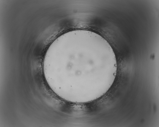 X0000116310415200912141403