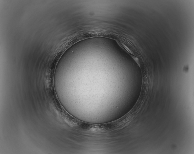 X0000116310416200912141403