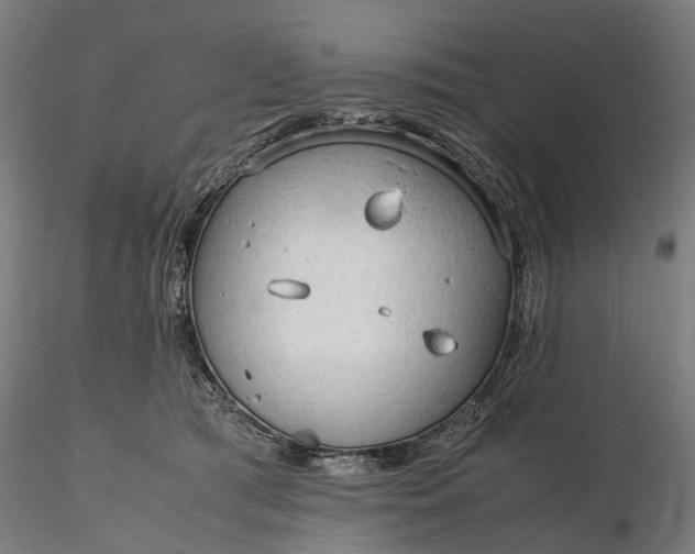 X0000116310417200912141403