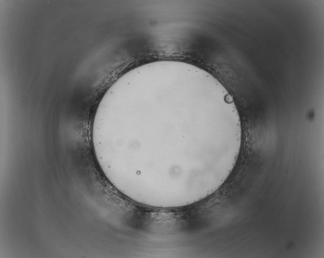 X0000116310419200912141403