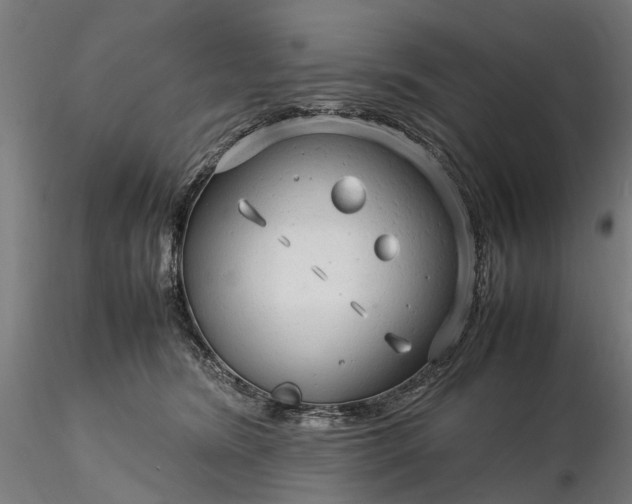 X0000116310420200912141403