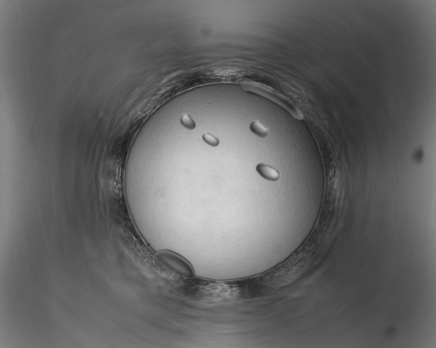 X0000116310421200912141403