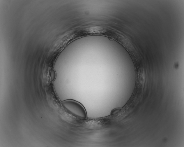 X0000116310422200912141403