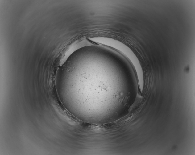 X0000116310424200912141403