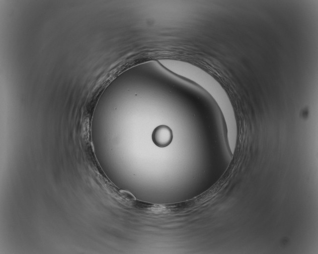 X0000116310425200912141403