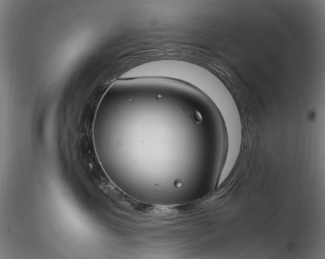 X0000116310429200912141403