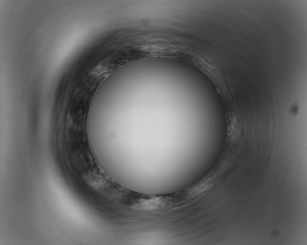 X0000116310430200912141403