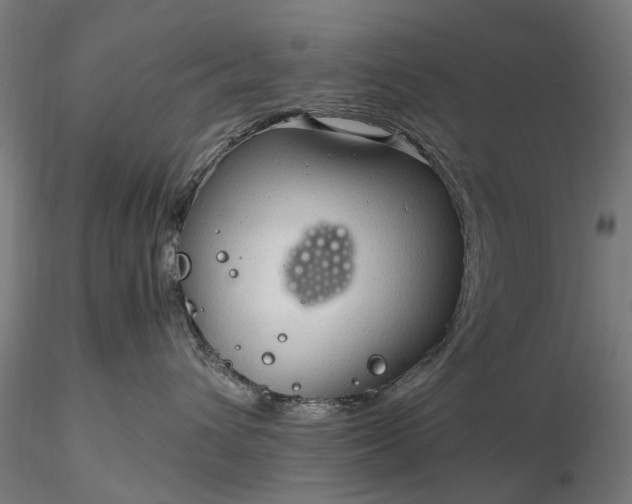 X0000116310432200912141403