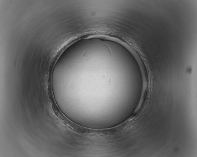 X0000116310434200912141402