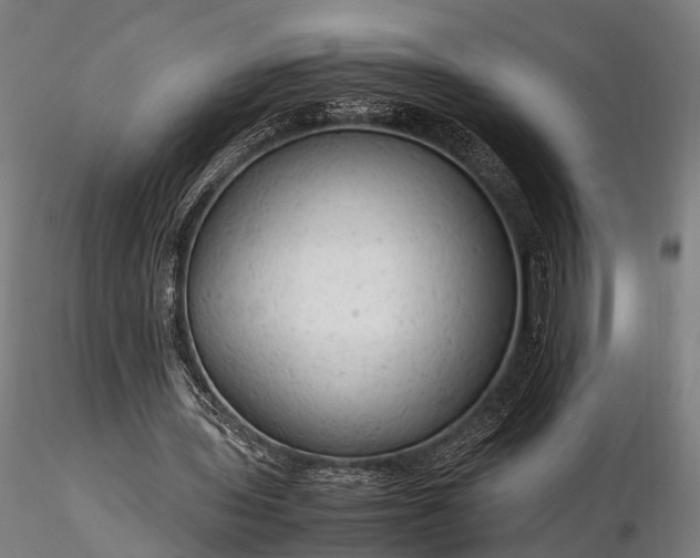 X0000116310435200912141402