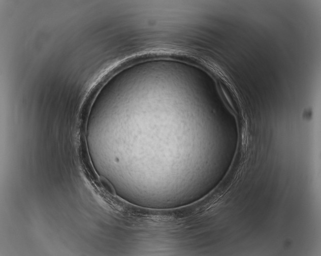 X0000116310436200912141402