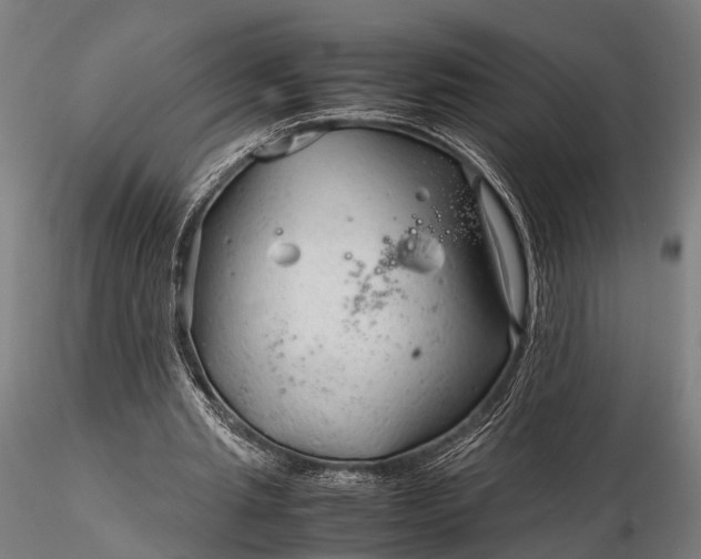 X0000116310437200912141402