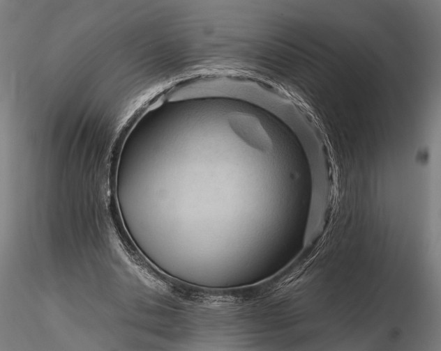 X0000116310438200912141402