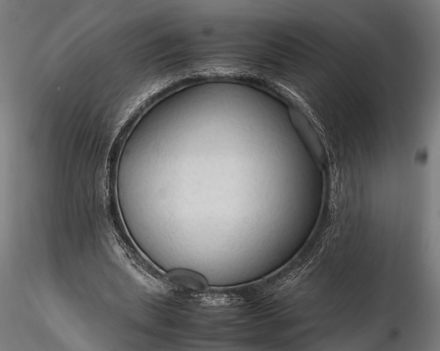 X0000116310439200912141402