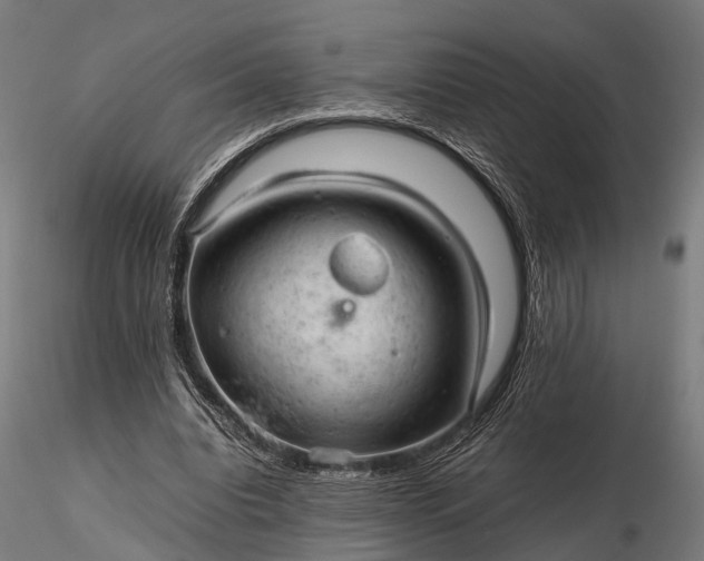 X0000116310440200912141402