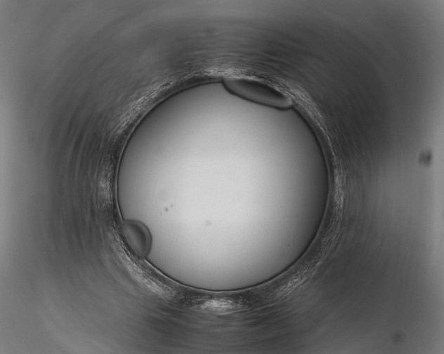 X0000116310441200912141402