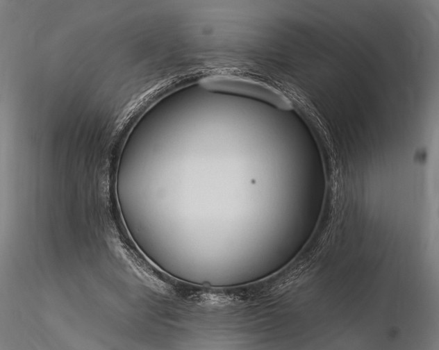 X0000116310442200912141402