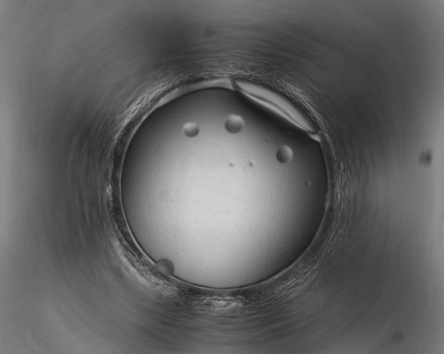 X0000116310443200912141402