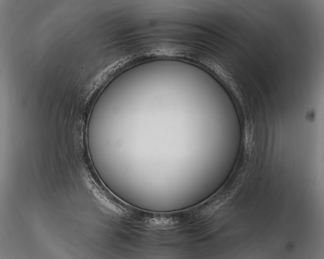 X0000116310445200912141402