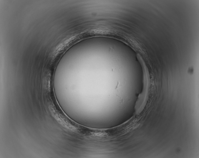 X0000116310446200912141402