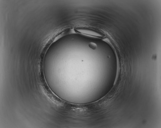 X0000116310447200912141402