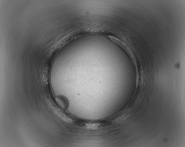 X0000116310450200912141403