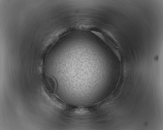 X0000116310451200912141403