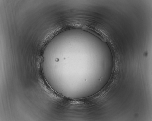 X0000116310453200912141403