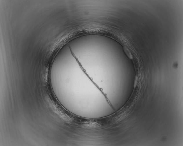 X0000116310454200912141403