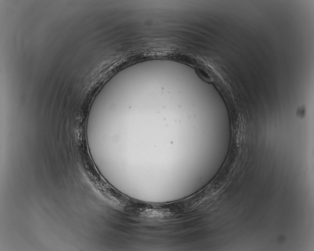 X0000116310455200912141403