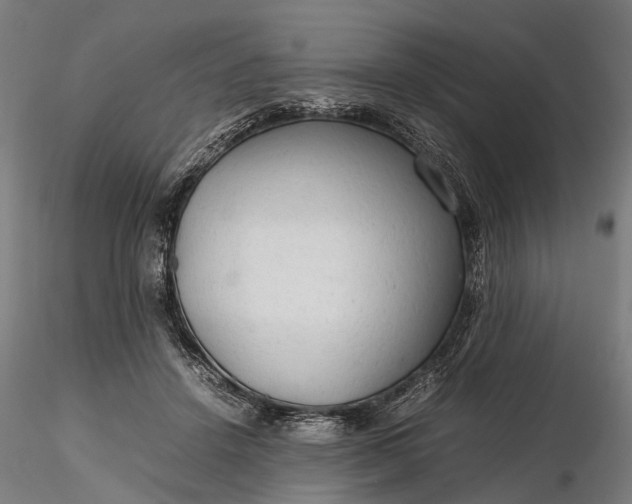 X0000116310456200912141403