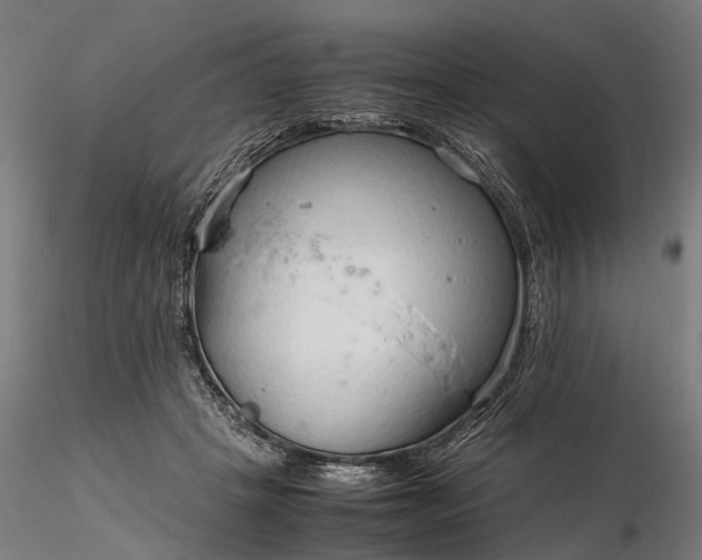 X0000116310457200912141403