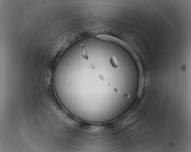 X0000116310458200912141403