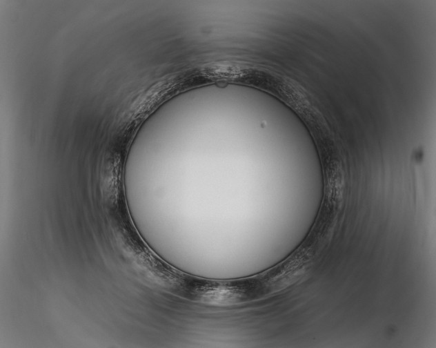 X0000116310460200912141403