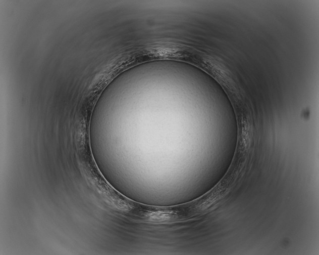 X0000116310461200912141403