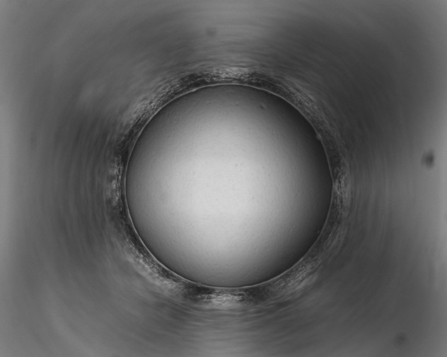 X0000116310462200912141403