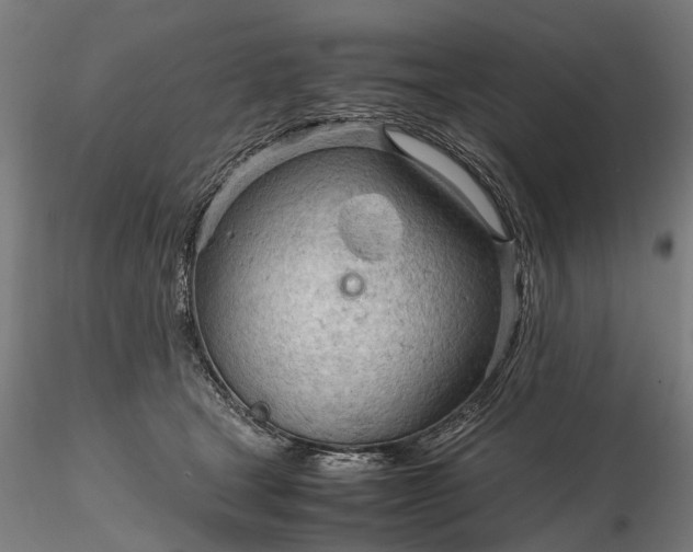 X0000116310465200912141403