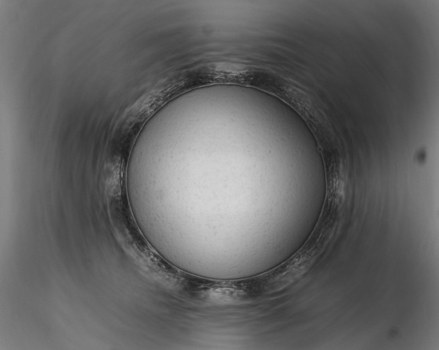 X0000116310468200912141403