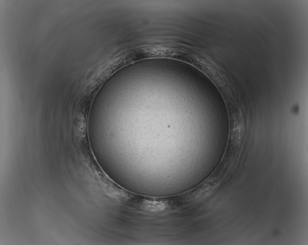 X0000116310469200912141403