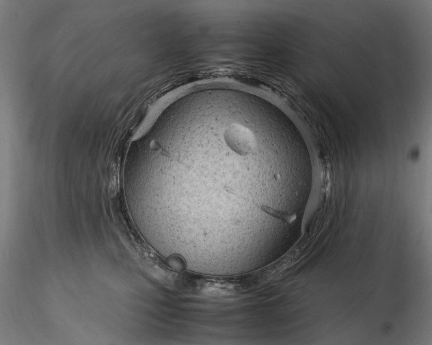 X0000116310471200912141403