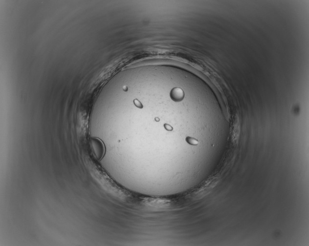 X0000116310476200912141403