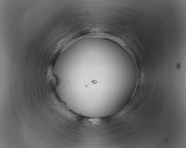 X0000116310478200912141403