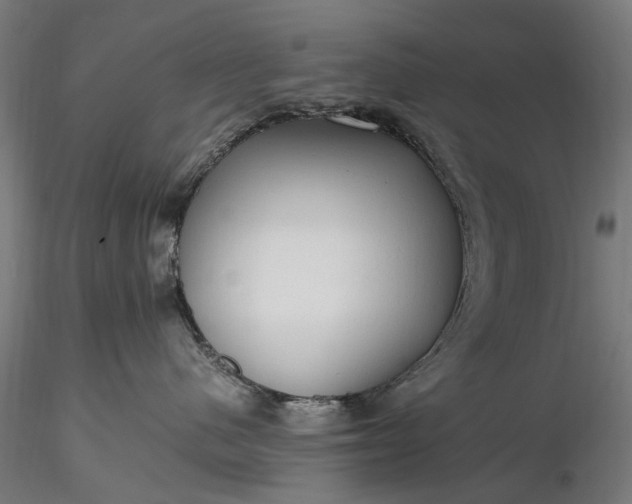 X0000116310480200912141403