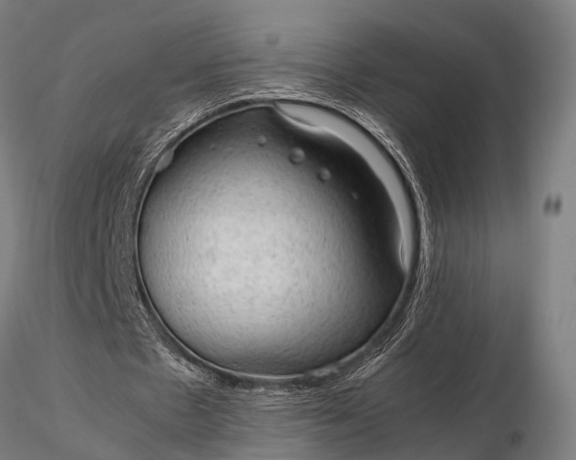 X0000116310481200912141402