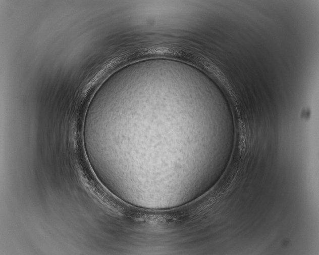 X0000116310482200912141402