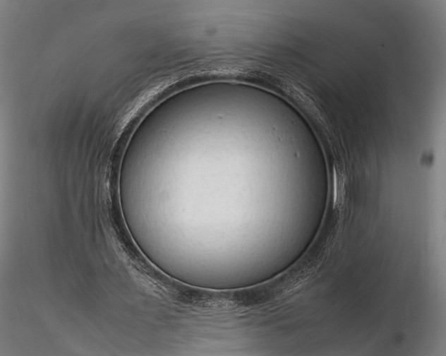 X0000116310483200912141402