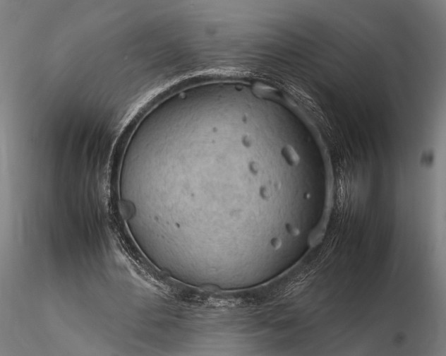 X0000116310484200912141402